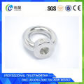 Rigging Hardware Stainless Steel Din582 Eye Nut